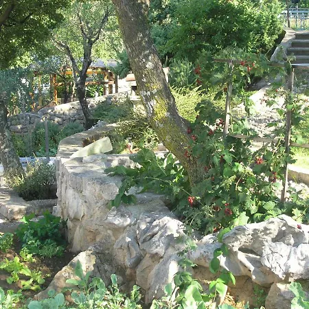 Viktoria * Klenovica